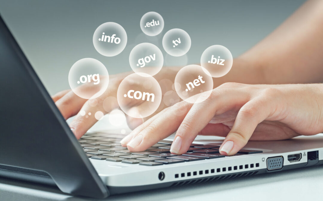 The Risks and Mitigation Strategies for New Top-Level Domains